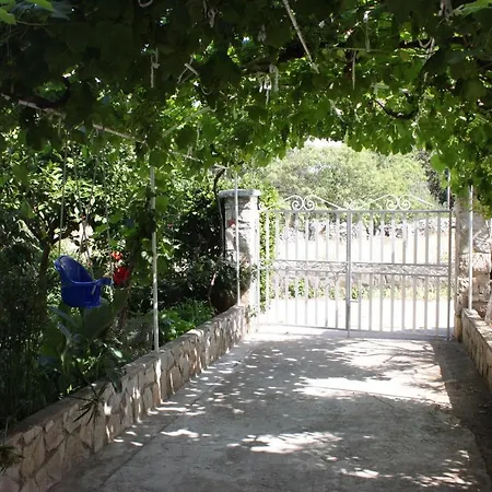 Guest house And With Parking Space Bozava, Dugi Otok - 8100
