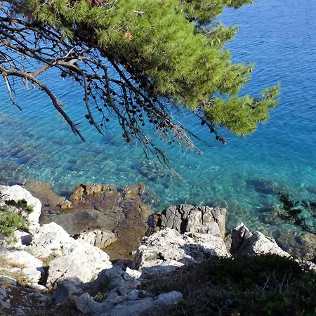 Guest house And With Parking Space Bozava, Dugi Otok - 8100 3*